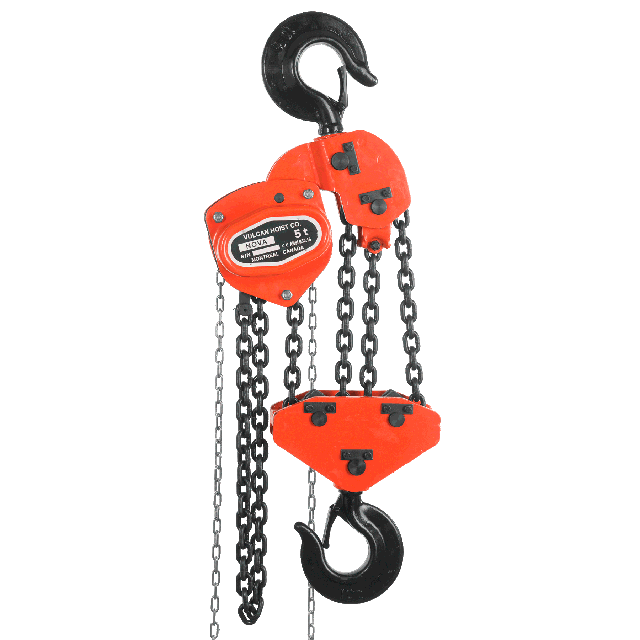 Chain hoist 5 ton 25 ft