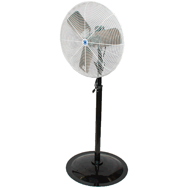 Pedestal fan 24 in